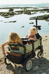 The Wagon - Spring Fern Baby Strollers joey 