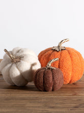 Shiraleah Assorted Set of 3 Felt Decorative Pumpkins, Multi by Shiraleah Shiraleah 