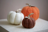 Shiraleah Assorted Set of 3 Felt Decorative Pumpkins, Multi by Shiraleah Shiraleah 