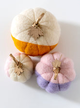 Shiraleah New Harvest Set of 3 Assorted Felt Pumpkins, Multi by Shiraleah Shiraleah 