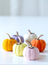 Shiraleah New Harvest Set of 6 Assorted Felt Pumpkins, Multi by Shiraleah Shiraleah 