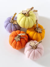 Shiraleah New Harvest Set of 6 Assorted Felt Pumpkins, Multi by Shiraleah Shiraleah 