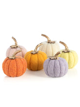 Shiraleah New Harvest Set of 6 Assorted Felt Pumpkins, Multi by Shiraleah Shiraleah 