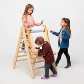 6in1 Montessori Climbing Frame Set: Triangle Ladder + Arch/Rocker + Slide/Ramp + Net + Cushion + Art Addition 6in1 Playsets Goodevas 