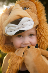 Storybook Lion Cape Costumes Great Pretenders USA 