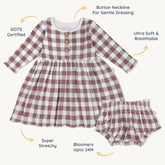 Organic Twirl Dress - Plum Gingham Twirl Dress Makemake Organics 