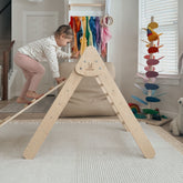 Climbing Triangle Play Gyms Bunny Hopkins 