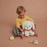 Dinkum Dog Starter Set Stuffies Olli Ella 