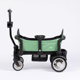 The Wagon - Spring Fern Baby Strollers joey 