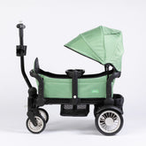 The Wagon - Spring Fern Baby Strollers joey 