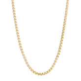 Luciana Box Chain Necklace Necklaces eklexic 13" 