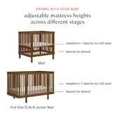 Pogo 8-in-1 Convertible Crib with All-Stages Conversion Kits | Natural Walnut Cribs & Toddler Beds Babyletto 