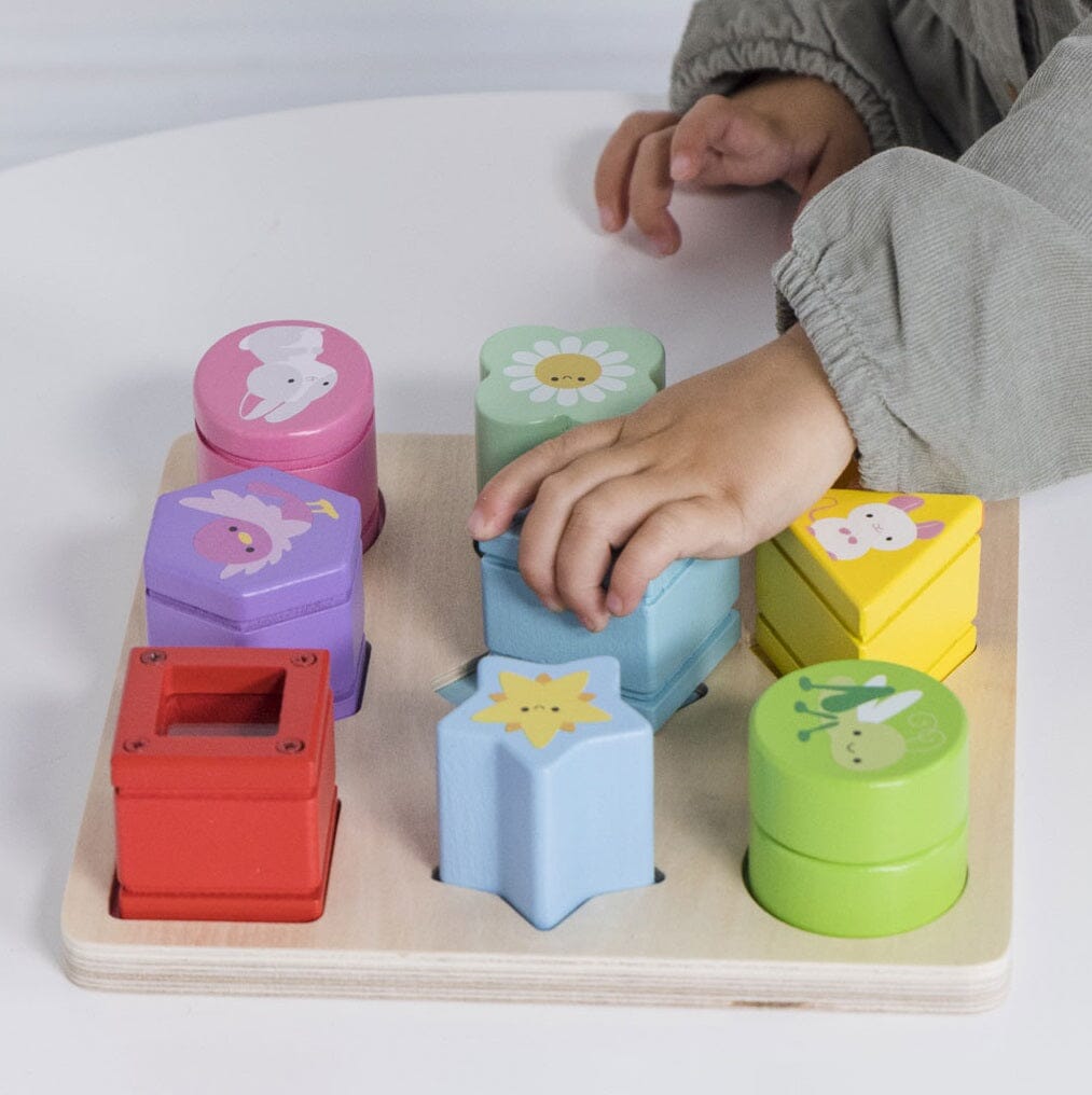 Rainbow Sensory Shape Sorter Emotional Development Le Toy Van, Inc. 