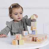 ABC Learning Blocks Learning Toys Le Toy Van, Inc. 