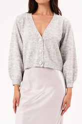 Delphine Cardigan | Silver Sweaters Rolla's XS (6) Silver 