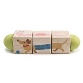 Infant Blocks Collection Tender Leaf Toys 