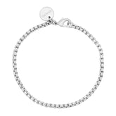 Thin Luciana Anklet eklexic Silver 9" 