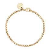 Thin Luciana Anklet eklexic Gold 9" 