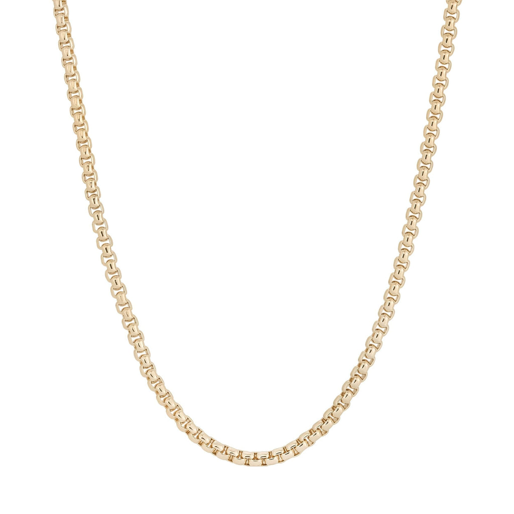 Thin Luciana Box Chain Necklace Necklaces eklexic Gold 13" 