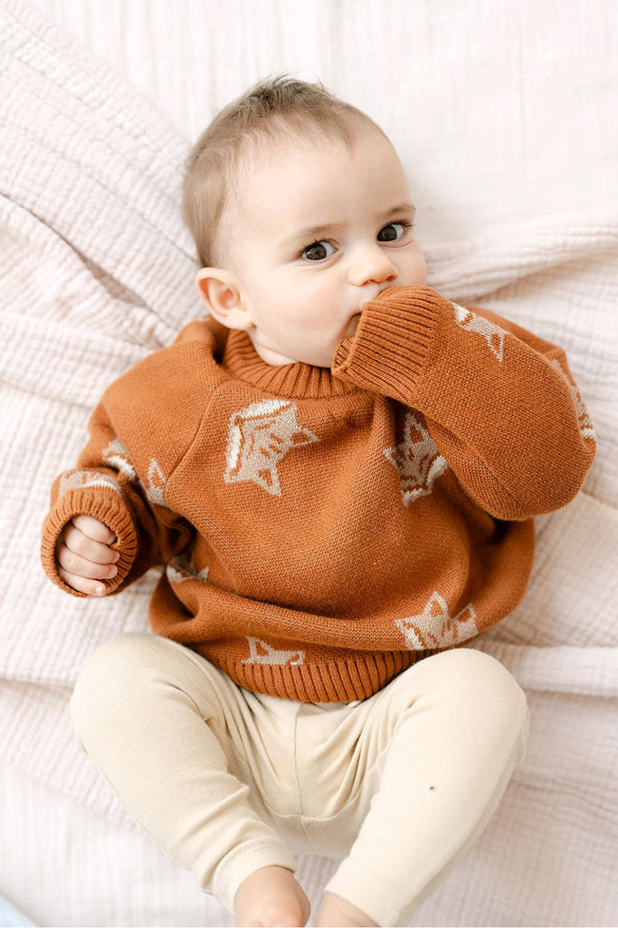 Organic Fox Knit Sweater | Mocha Bisque Sweaters Dear Hayden 