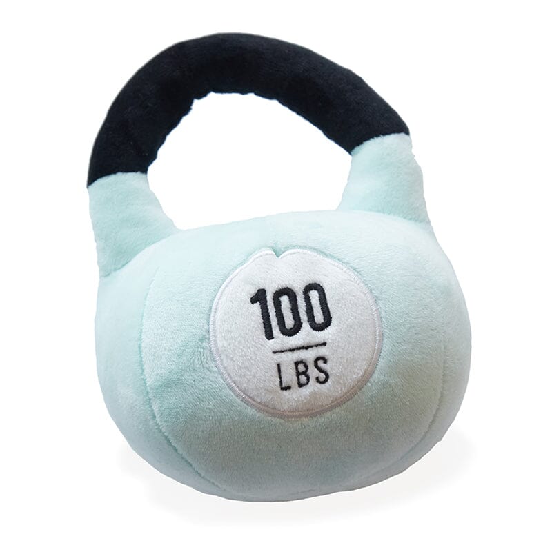 Little Lifter Plush Weights by Wonder and Wise Wonder and Wise 