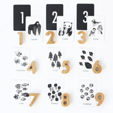 Counting Adventure Bundle Wee Gallery 